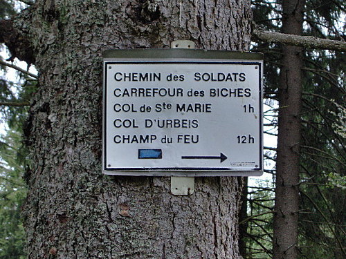 17juillet2008 col de st marie aux mines 072