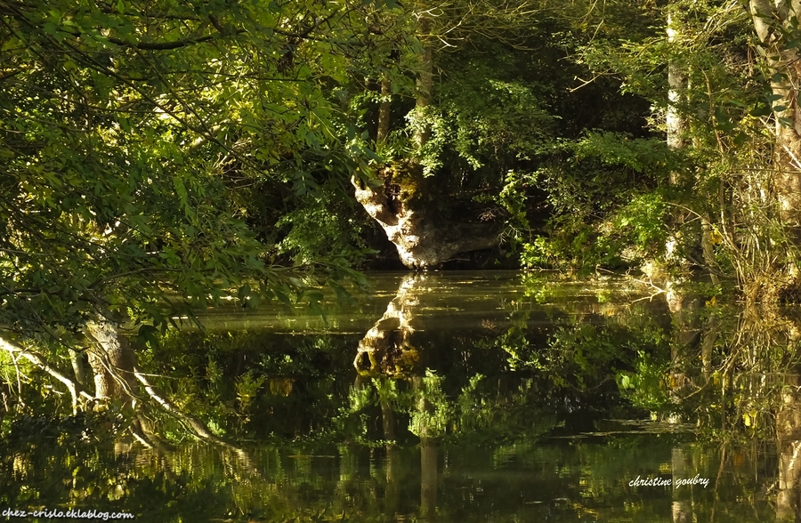 Marais Poitevin (suite et fin)