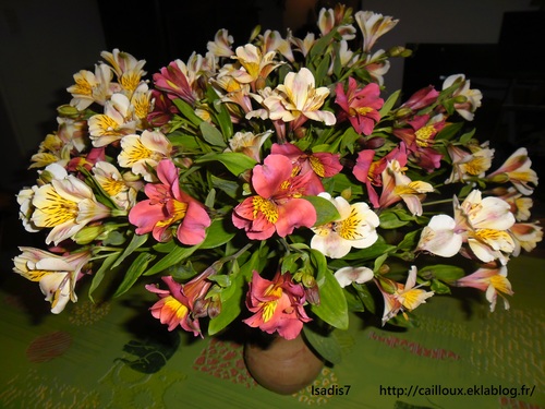 Alstroemeria