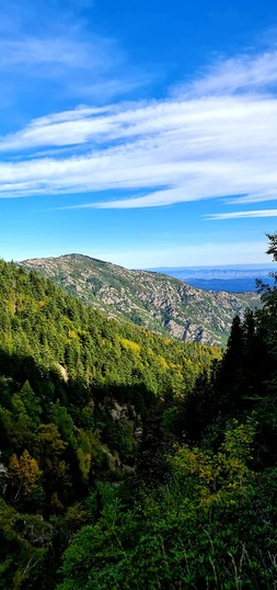 Peut être une image de arbre, ciel, nature et montagne