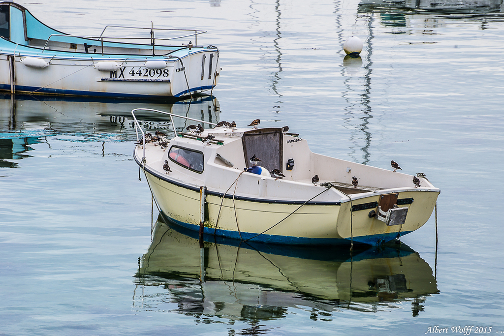 Roscoff - Le  port  un matin  (1)