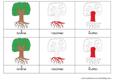 Cartes de nomenclature de l'arbre