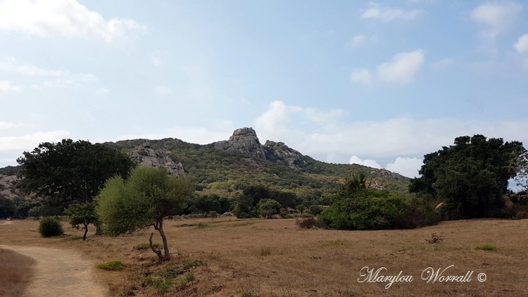 Corse : Plateau de Cauria 2/2