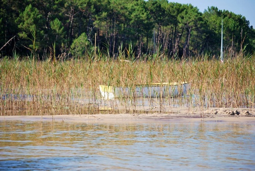 le lac de carcan maubuisson