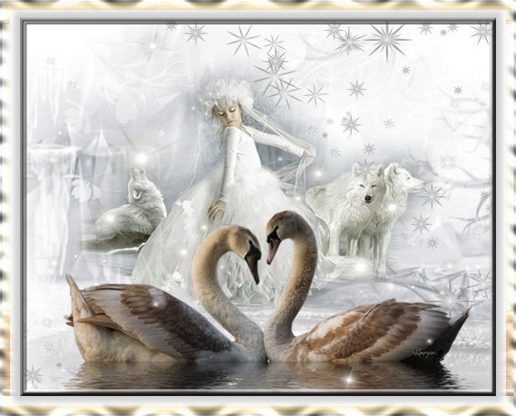 CYGNE ET LOUP