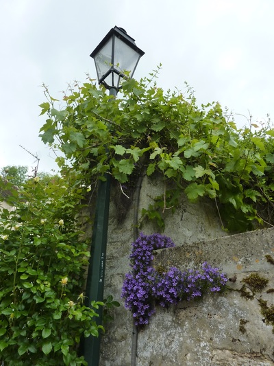 Randonnée entre Mareil-sur-Mauldre et Neauphle-le-Château