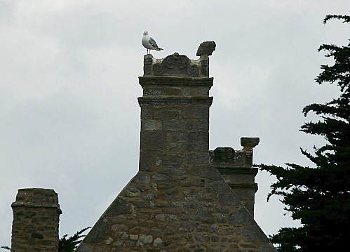 Pen-Castel--13-8-10-145.jpg