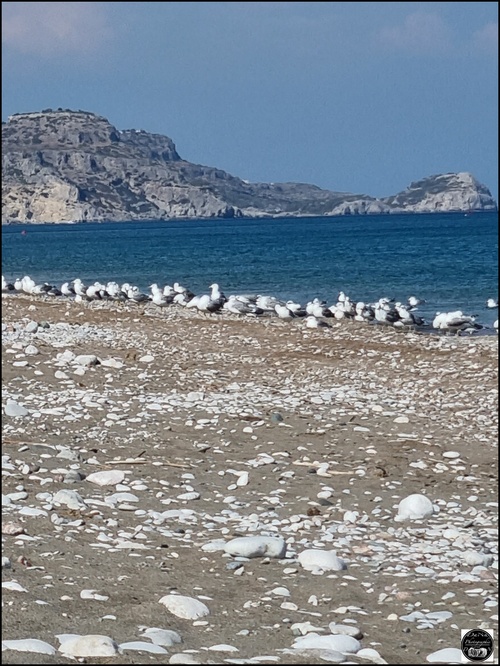 Afandou beach, Grèce, île de Rhodes