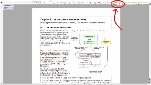 Cours de physiologie endocrinienne / hormones sexuelles stéroïdes