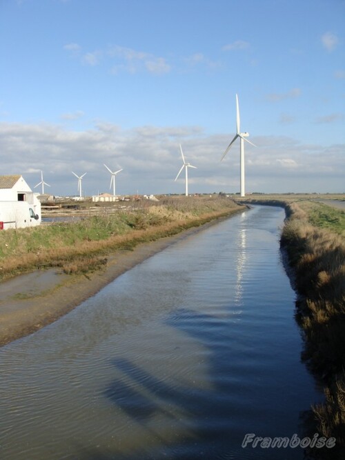 eoliennes de Bouin