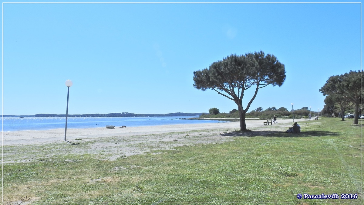 Du port ostréicole d'Andernos aux prés salés d'Arès - Mai 2016 - 2/9