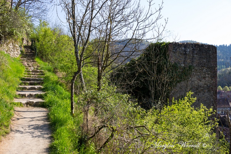 Kaysersberg 68 : 3/5 Un route vers le château