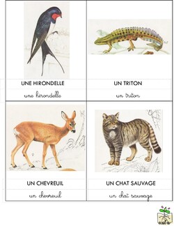 carte de nomenclature animaux en Champagne-Ardenne