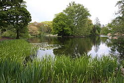 Le lac principal des jardins botaniques royaux de Kew