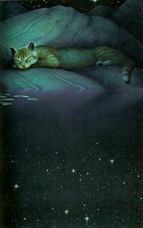 Leafpool sleeping by the Moonpool (Thunderclan medicine cat) | Katt citat,  Katt