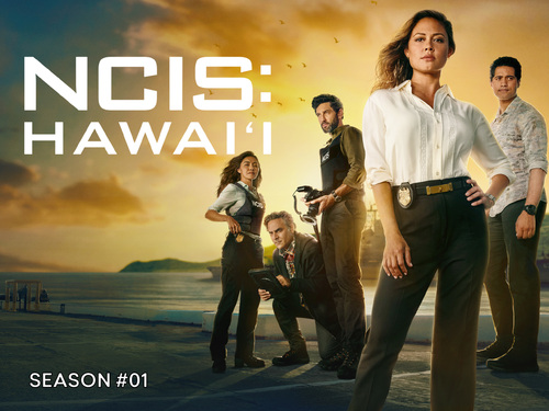 NCIS : un crossover avec NCIS Hawaii en préparation