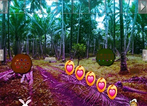 Jouer à Easter bunny coconut farm rescue