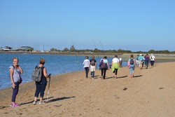 La balade du 16 octobre à Sallenelles