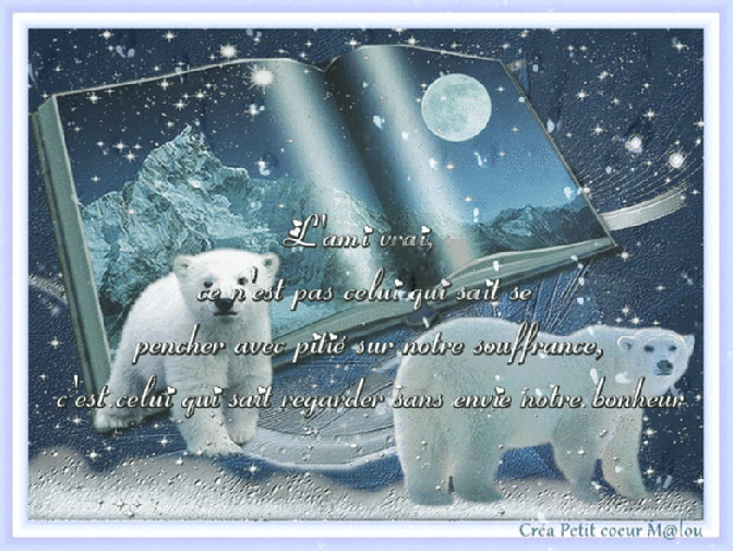 Je vous envoie tout l'amour et la lumière de Noël