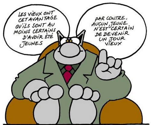 N_c1Hec6Dd3__WJEU1JhcJ-6cIA.jpg