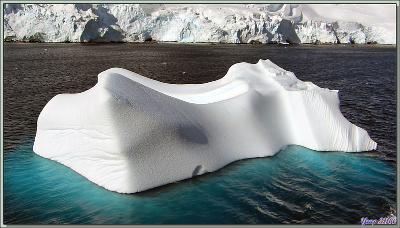 Iceberg dans Lemaire Channel