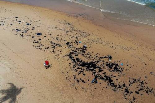La catastrophe écologique qui touche les côtes brésiliennes