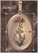 Animációs Medal