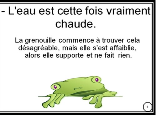 grenouille-affaiblie.jpg