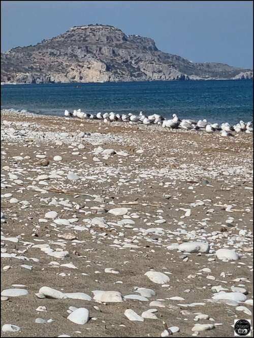Afandou beach, Grèce, île de Rhodes