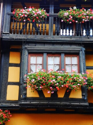 Alsace : Eguisheim ( 2 )
