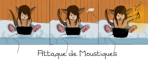 Moustiques