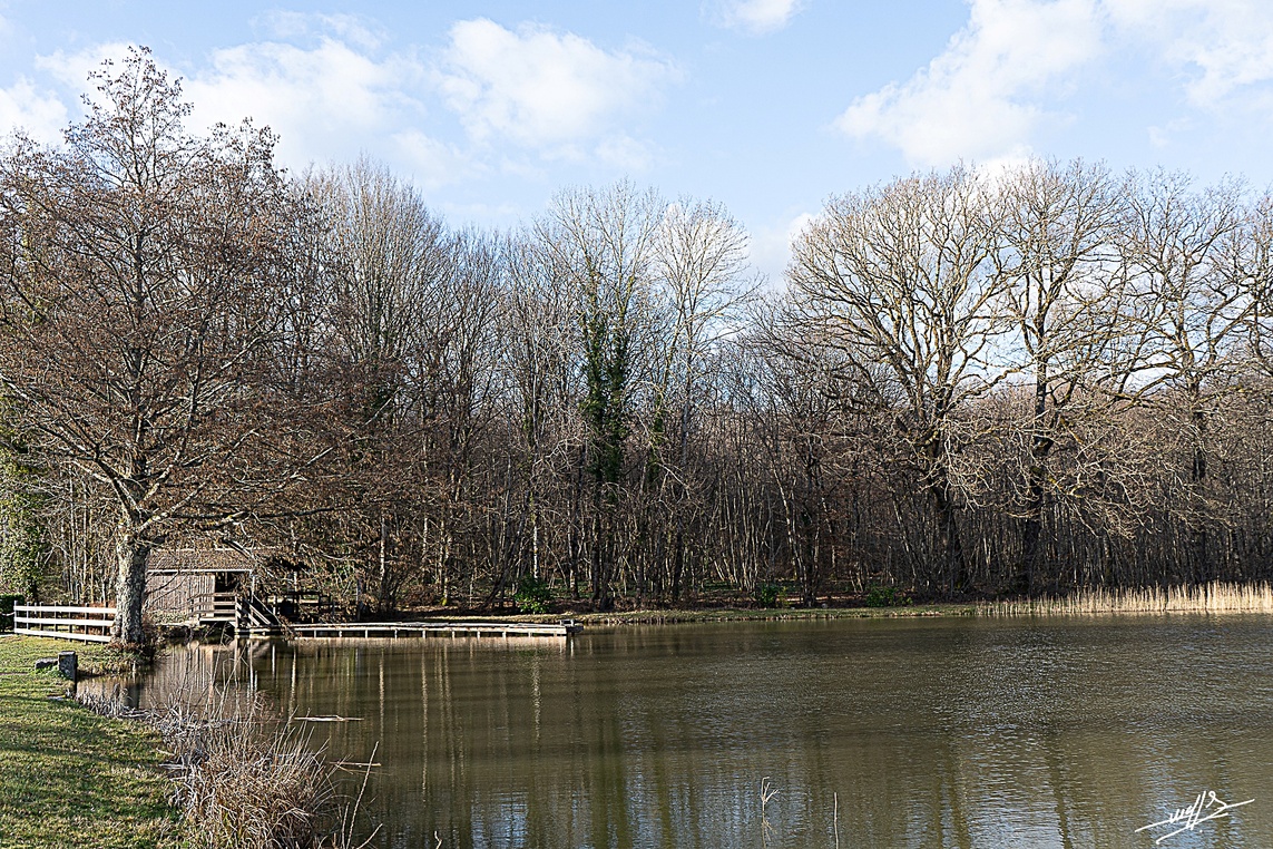 Variations sur un étang