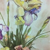 Bouquet d'iris