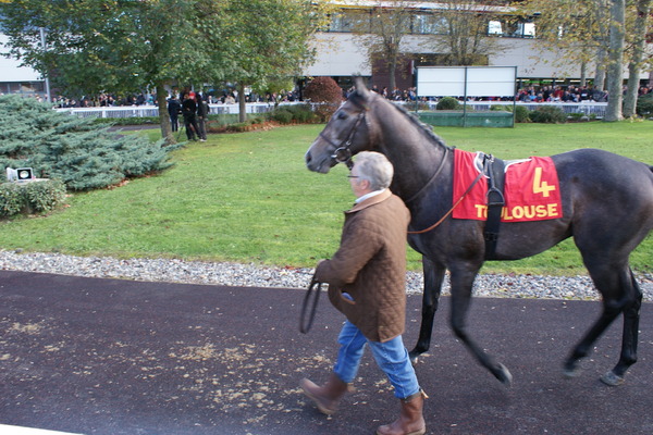 Hippodrome: la Cépière