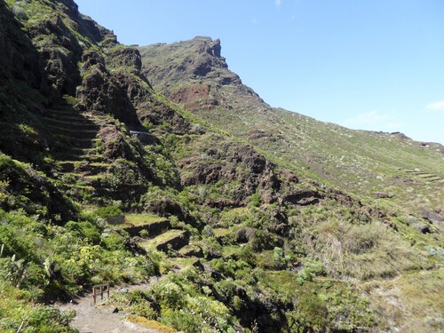 Tenerife- Parc de l'Anaga