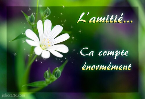 JOURNEE MONDIALE DE L'AMITIE