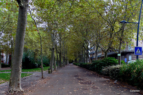 Toulouse au début de l'automne