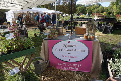 Une belle édition d'automne à St Jean de B