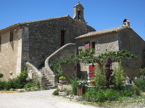 Juin en fleurs en Provence