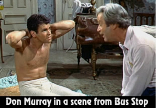Don Murray dans Bus Stop.