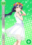 SR 656 Umi Pool Ver.