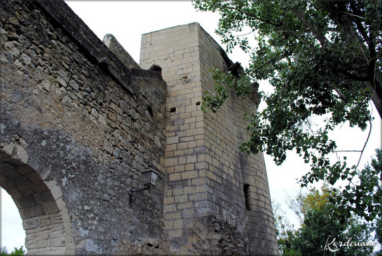 Photo de la Tour du Boile ou Boëlle - Montreuil-Bellay