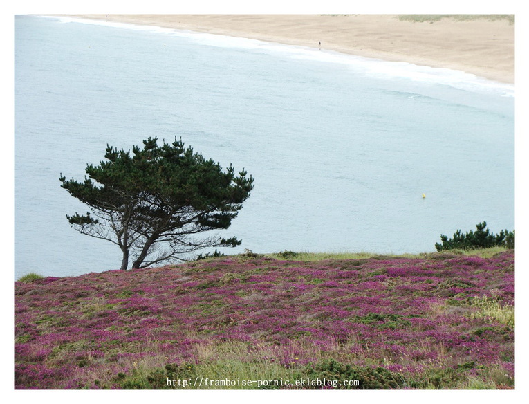 Des Sables d'Or au Cap Fréhel Cotes d'Armor 