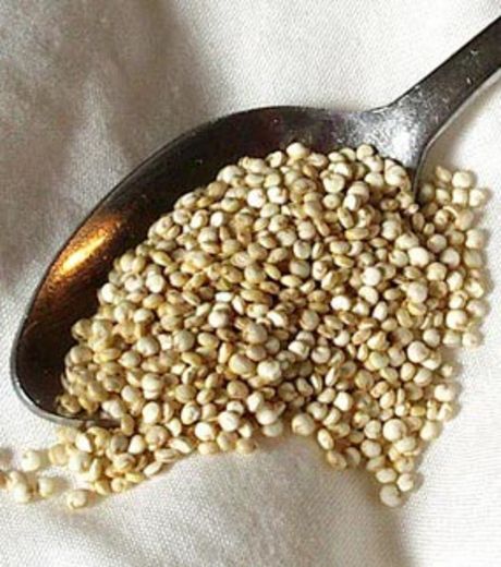 Du quinoa pour lutter contre la faim dans le monde