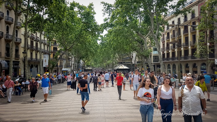 Barcelone : Pedrera, Rambla, Cathédrale etc