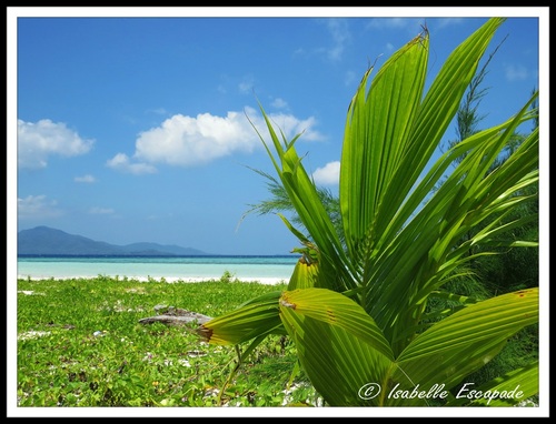 19 Juillet - Kalimunjawa... les petites îles