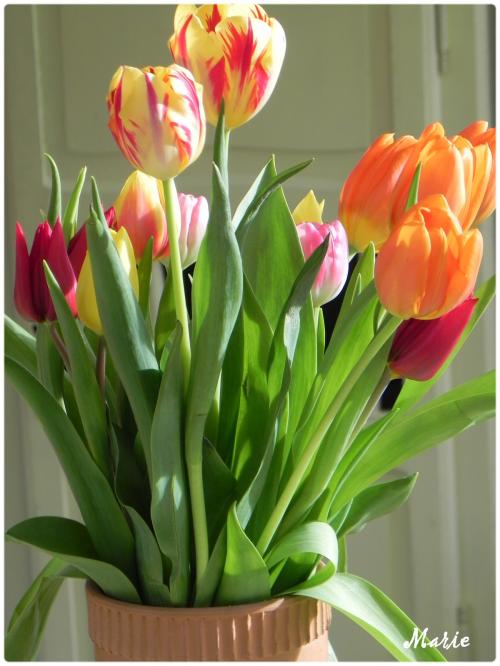 Les bouquets