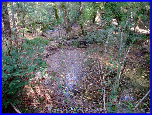 Les gorges du Caramy