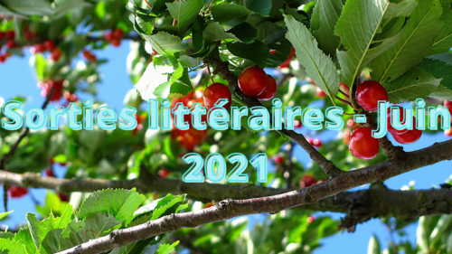 Sorties littéraires - Juin 2021