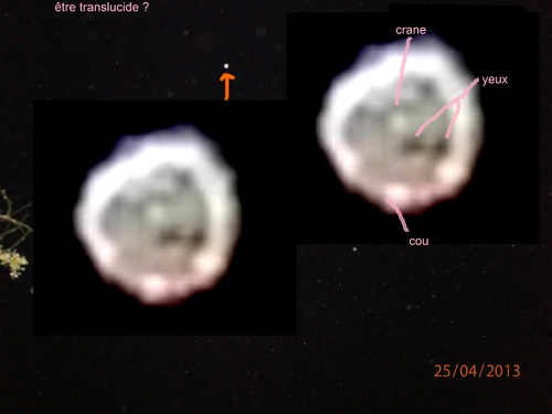 etre translucide ? 25/04/2013